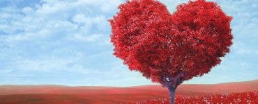 Horoscop 22 iunie 2019. Peștii se vor simți foarte bine cu partenerii de cuplu