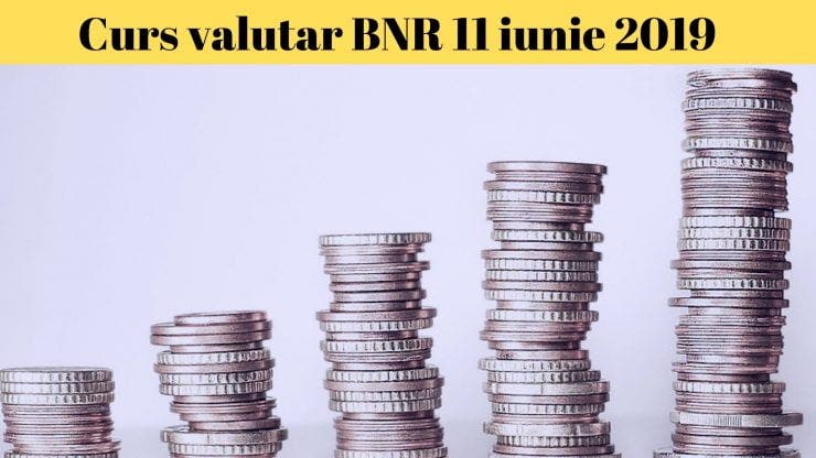Curs valutar BNR 11 iunie 2019. Câți lei costă 1 euro și un dolar astăzi