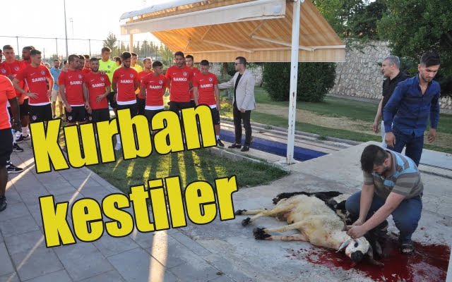 Scene incredibile pentru Şumudică la turci 25 Scene incredibile pentru Şumudică la turci