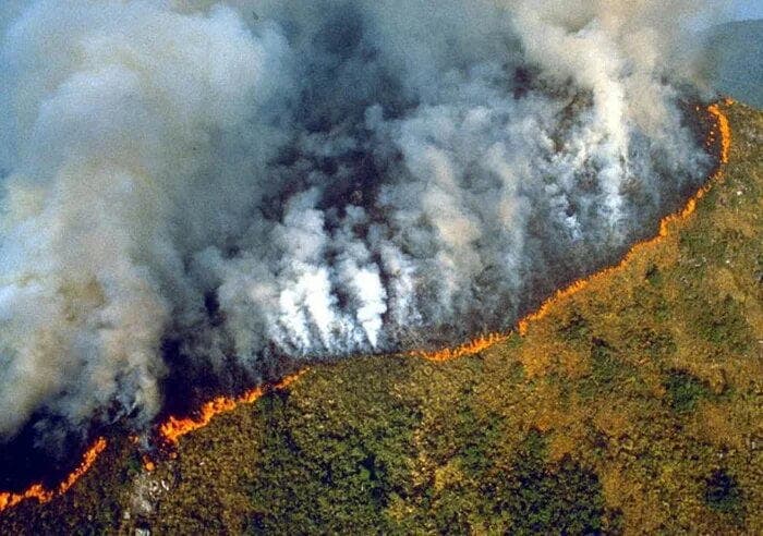 Pădurea Amazonului este distrusă de flăcări. Macron vorbește despre o criză internațională