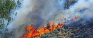Zona turistică Gran Canaria evacuată în urma unui incendiu de vegetație