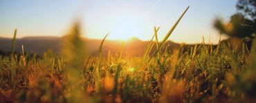 Horoscop 28 august 2019. Săgetătorii vor avea parte de o surpriză 38 Horoscop 28 august 2019. Săgetătorii vor avea parte de o surpriză