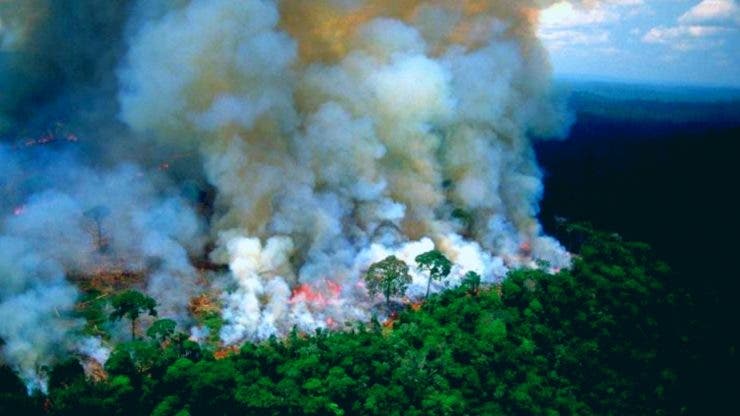 Incendiile din Pădurea Amazoniană. Brazilia accepă ajutorul G7 doar dacă va putea decide cum să-l folosească