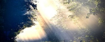 Horoscop 20 septembrie 2019. Zi plină de surprize pentru zodii 29 Horoscop 20 septembrie 2019. Zi plină de surprize pentru zodii