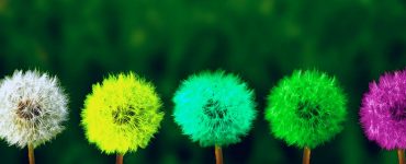 Horoscop 29 septembrie 2019. Se anunță schimbări în viața unei zodii