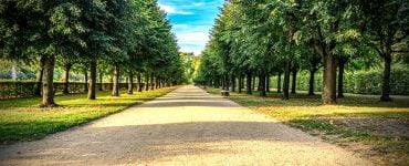 Horoscop 30 septembrie 2019. Schimbări în afaceri pentru o zodie