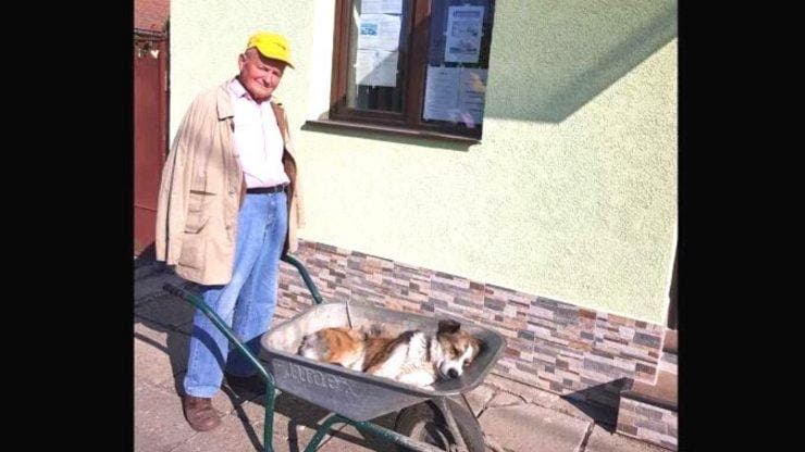 Dragostea pentru animalul său l-a făcut să uite de vârstă. Un bătrân de 80 de ani și-a dus cățelul 8 km cu roaba până la veterinar