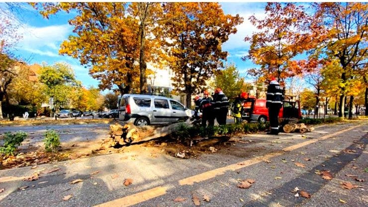 Accident în București. Un copac a căzut pe o mașină aflată în mers