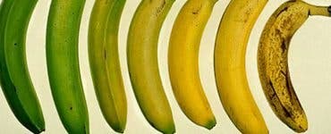 Așa arată banana sănătoasă pentru corpul tău. Știai?