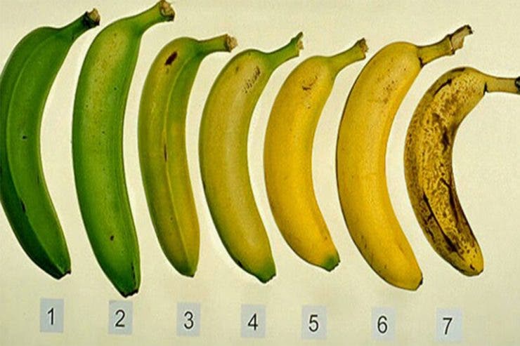 Așa arată banana sănătoasă pentru corpul tău. Știai?