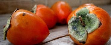 Fructul care face ravagii în România! Adevărul despre Kaki, fructul zeilor