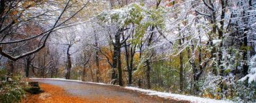 Horoscop 16 noiembrie 2019 - O zodie are probleme de sănătate grave