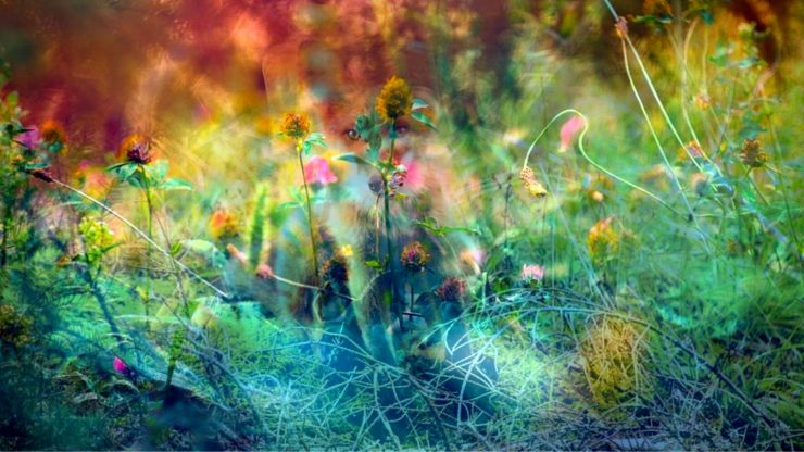 Horoscop 2 noiembrie 2019. Zodia care impresionează la prima vedere