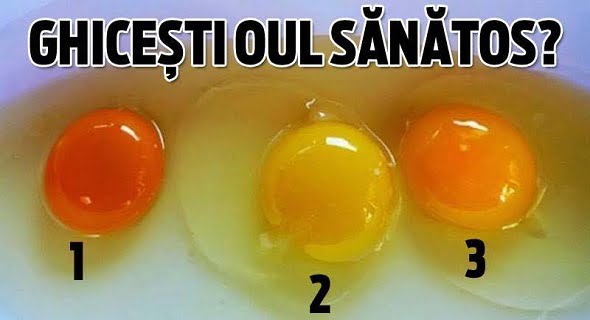 Testul oului. Tu ghicesti care ou este cel sănătos? Mulți greșesc raspunsul 25