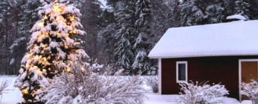 Vremea în luna decembrie 2019. Luna sărbătorilor de iarnă va fi una călduroasă