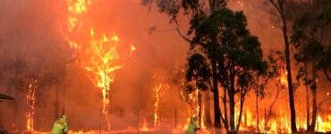 Incendiile din Australia. Trei persoane au fost puse sub acuzare