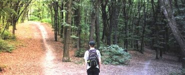 Horoscop 30 ianuarie 2020. Racii vor trebui să ia o decizie importantă 32 Horoscop 30 ianuarie 2020. Racii vor trebui să ia o decizie importantă
