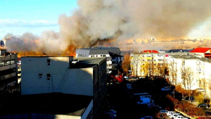 Incendiu devastator în Capitală. Flăcări imense au mistuit vegetația din Delta Văcărești
