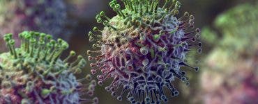 virus