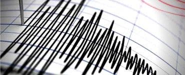 Cutremur în Vrancea, în această dimineață. Ce magnitudine a avut seismul