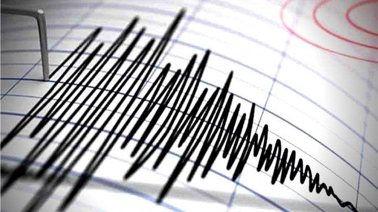 Cutremur în Vrancea, în această dimineață. Ce magnitudine a avut seismul