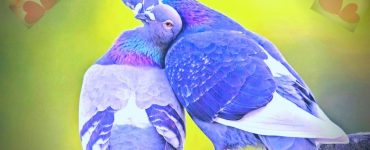 Horoscop 13 martie 2020. Șanse extraordinare în dragoste pentru unele zodii 37 Horoscop 13 martie 2020. Șanse extraordinare în dragoste pentru unele zodii