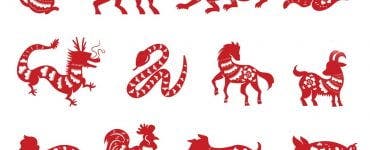 Ce zodie ești în Zodiac Chinezesc. Horoscop chinezesc pentru fiecare