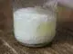 kefir