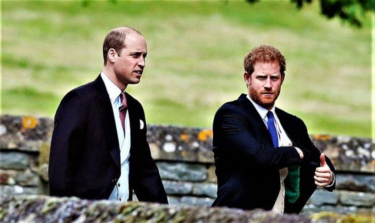 Prinții William și Harry