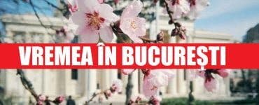 Vremea în București joi 16 aprilie. ANM anunță o încălzire a vremii