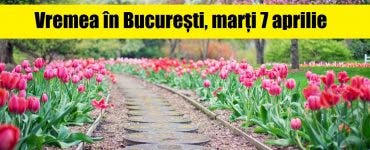 Vremea în București, marți 7 aprilie. ANM anunță vreme caldă