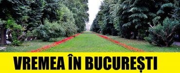 Vremea în București vineri 24 aprilie. Meteorologii anunță o zi însorită