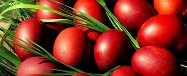 ouăle roșii