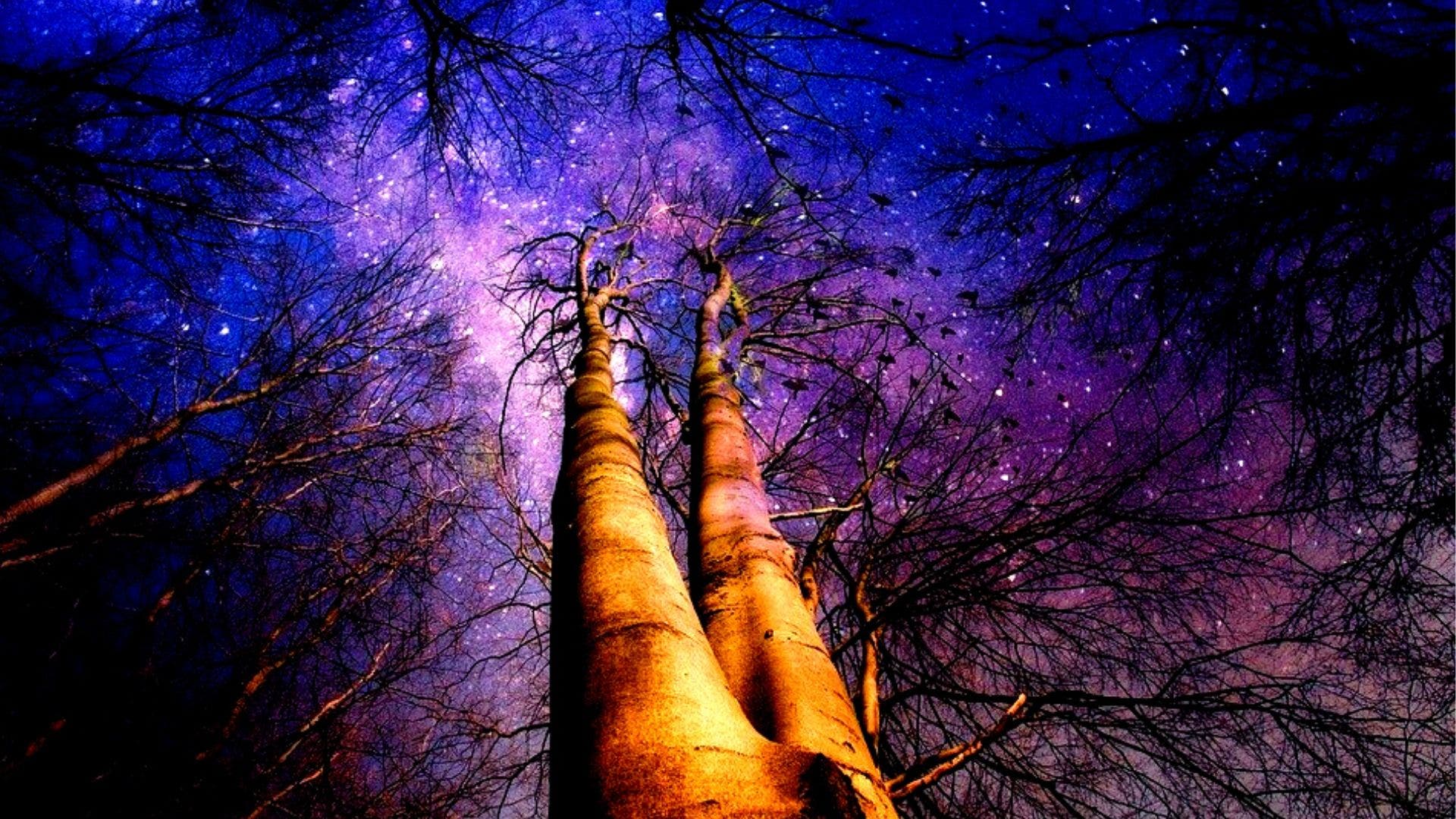 Horoscop 23 mai 2020. Ziua va începe cu stângul pentru Scorpioni