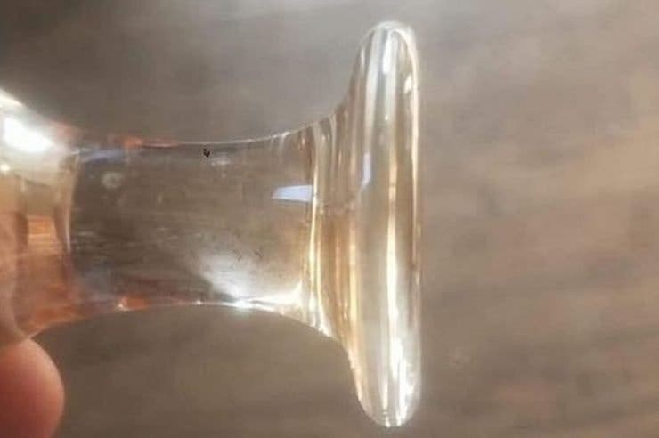 O femeie a găsit în curte un „dop de sticlă”. Când a aflat ce era, de fapt, a rămas cu gura căscată