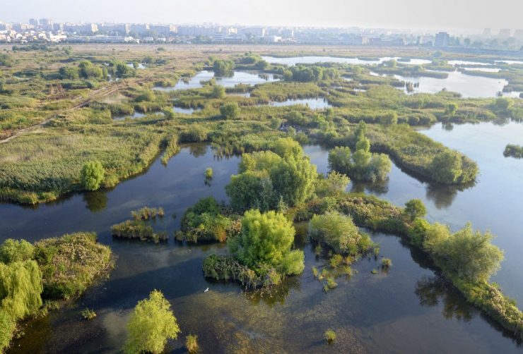 Proiect inedit! Delta Văcărești ar putea fi deschisă pentru activități de agrement 25 Delta Văcărești