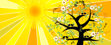 Solstițiul de vară 2020