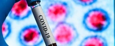 Prognoză despre coronavirus