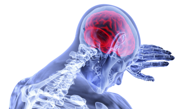 Creier activ dupa moarte