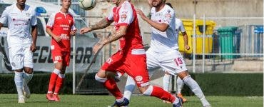 UTA, FC Arges, promovare Liga 1