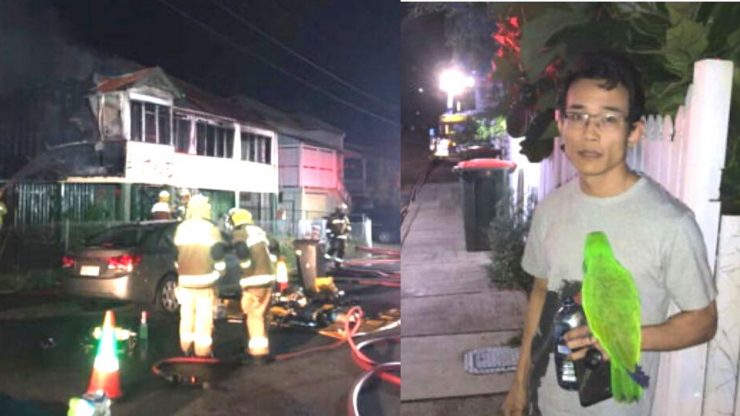 Un papagal i-a salvat viața stăpânului său după ce casa i-a luat foc