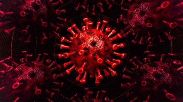 Un nou virus care se transmite de la om la om