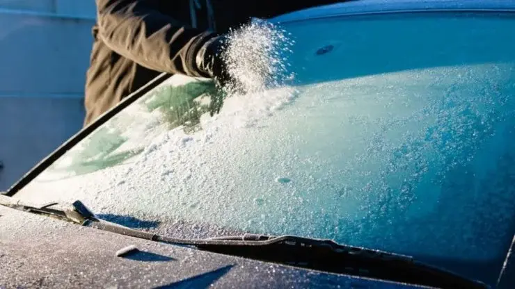 Leguma care ajută la dezaburirea parbrizului. O găsești pe toate tarabele din piață