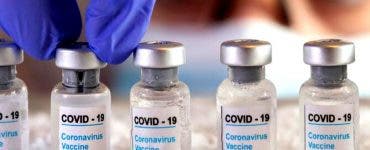 Primele doze de vaccin anti-COVID19 ajung în România