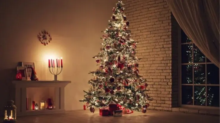 VIDEO! Ce a găsit o familie din Australia în pomul de Crăciun.