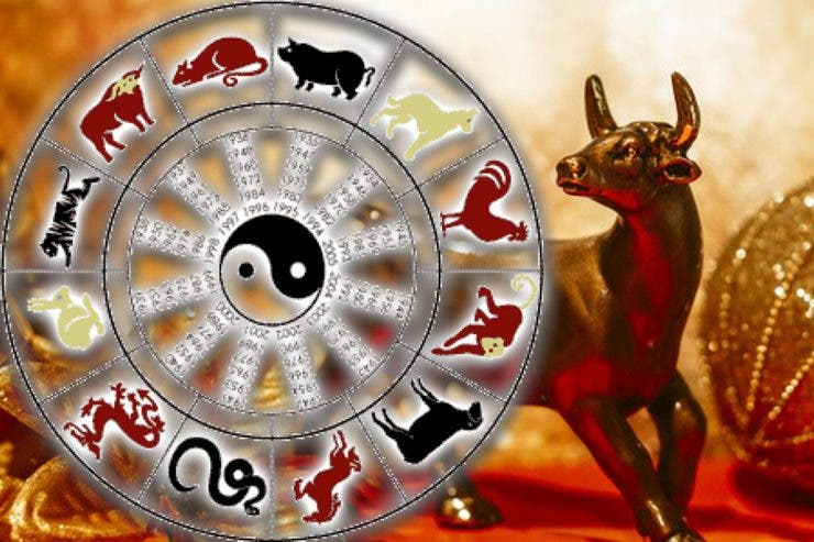 zodia Bivolului de Metal în horoscopul chinezesc