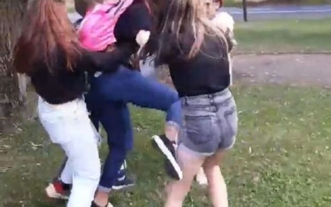 Bătaie cu „galerie” între adolescente. Violențele, încurajate de mai mulți martori VIDEO 25 bătaie cu galerie