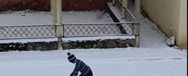 un copil plimba un cățel cu sania