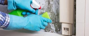 Metode rapide și simple prin care poți curăța mucegaiul