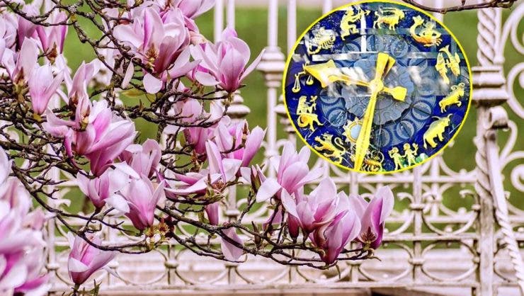 Horoscop 16 martie 2021 pentru toate zodiile